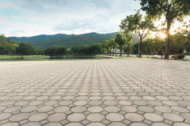 Best Professional Driveway Pavers  in Fort Worth, TX