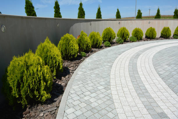 Best Driveway Paver Repair  in Fort Worth, TX
